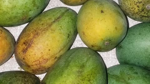 Ripe mangoes without poison