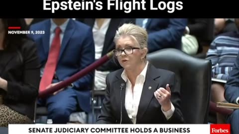 Subpoena for Jeffrey Epstein flight logs
