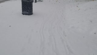 Snowfall in norristown pa 2018