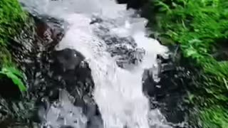 Water following