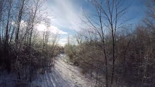 A Walk Through A Winter Wonderland