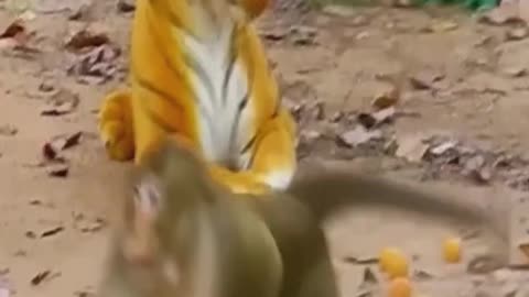 Fake Tiger vs Real Monkey Funny Video.