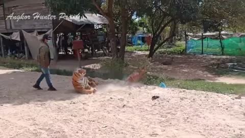 Asustan al pobre perro con un tigre de peluche