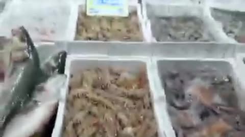 New fish every day: octopus, squid and all kinds of fish with Robin Hood