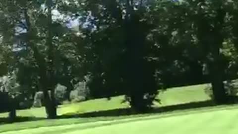 Guy in grey shirt tosses golf flag like javelin towards guy in blue shirt