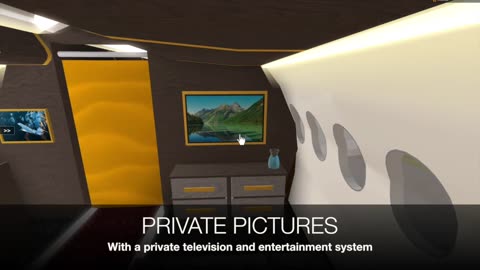 Private Jet Interior Design Demonstration