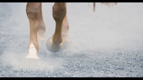 Close-up of horse hooves walking on sandy ground