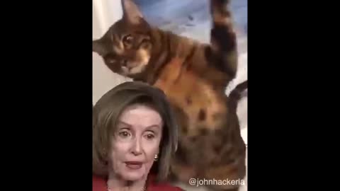 PUTIN IS TRYING TO BAIT THE TRAP SAYS PELOSI