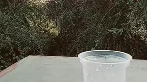 amazing experiment glass and water