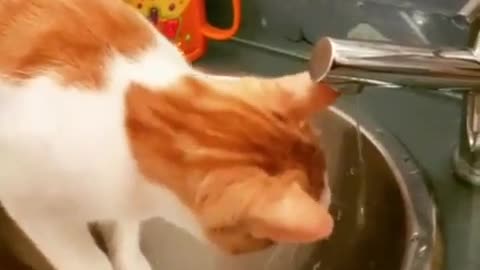 Look How Caty Playing with Water