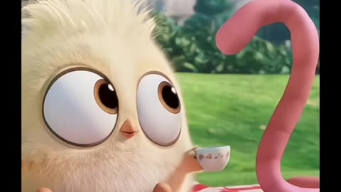 Funny Angry Bird Cartoon Video.