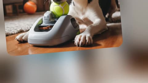 Dog Health eBook & Tennis Ball Machine: Enhance Your Pet’s Well-being and Fun!