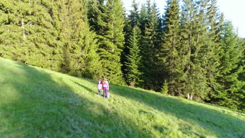 Little sisters looking to the sky in a meadow