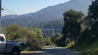 Wood Road, above Los Gatos, CA, Silicon Valley