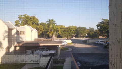 Florida En La Mañana