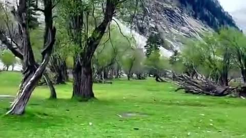 Swat Valley, KPK,Pakistan