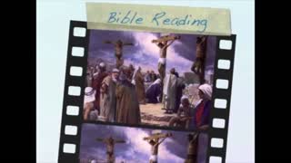 October 8th Bible Readings