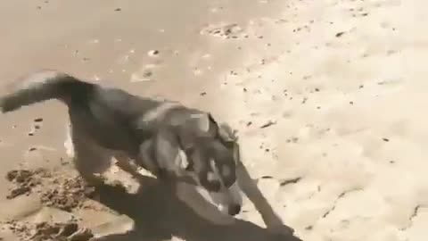 Excited to see the beach for the first time