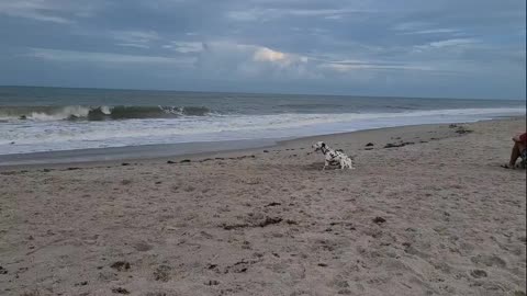 Luna, What Happens at the Beach Stays at the Beach