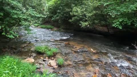 mountain creek fishing