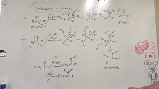 Carbonyls and amines