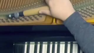 Tuning Low Notes on Bösendorfer 225