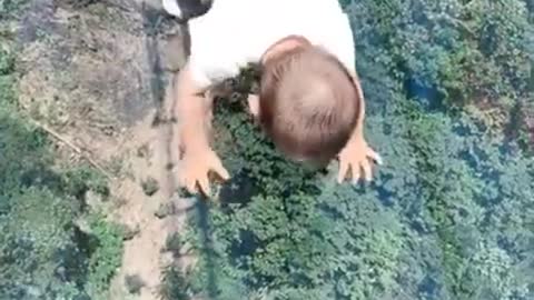 Toddler's priceless attempt to cross onto glass bridge