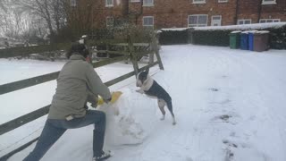 Dougie help daddy make a snowman