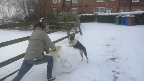 Dougie help daddy make a snowman
