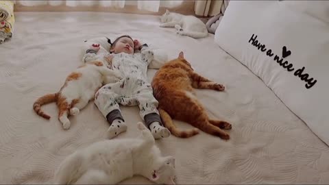 Little Girl and Her Protective Snuggly Cats❤️❤️