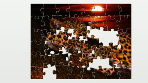 Puzzle. Predator Leopard.