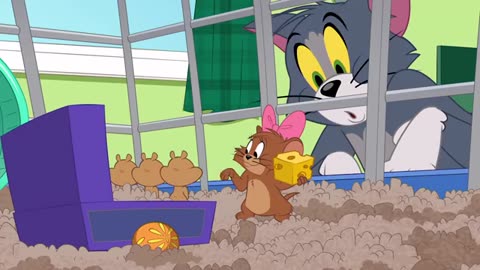The Tom and Jerry Show | 10,000 Hamster Pups