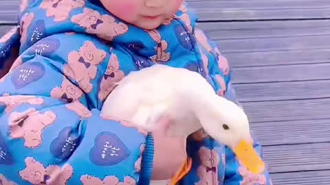 The baby and the duck