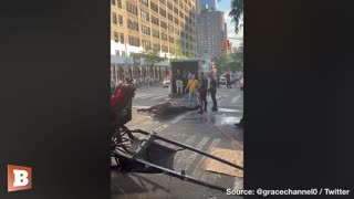 Carriage Horse Collapses, NYPD Help Save Its Life