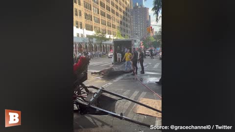 Carriage Horse Collapses, NYPD Help Save Its Life