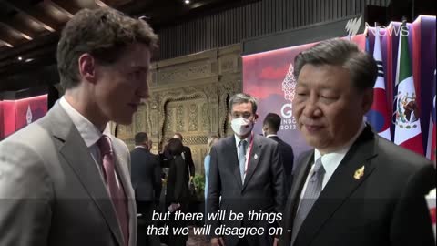 China's President Xi Jinping confronts Canada's Prime Minister Justin Trudeau | SBS News