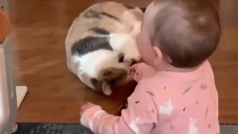 Bebe riéndose con el gatico