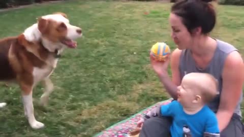 Baby belly laughing at dog