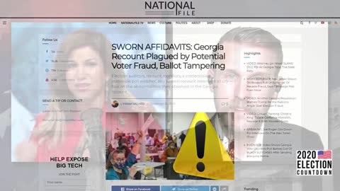 Georgia Election Fraud Witness Give Riveting Eye-Witness Testimony, Guest Interview!