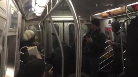 Pigeon Subway Passenger
