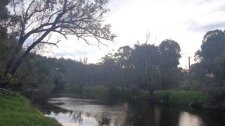 Blackwood river, Australia