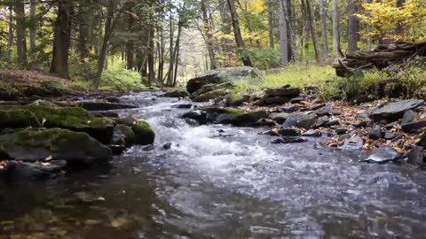 Relax with the healing and calming sound of gentle river stream