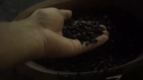 Hand holding coffee beans