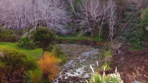 Koutunui - Tokomaru