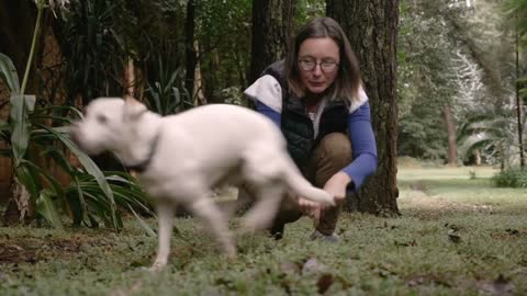 Happy panting dog wagging her tail petted by her smiling owner and then running away in slow motion