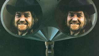 Willie Nelson - Stay All Night (Stay A Little Longer)