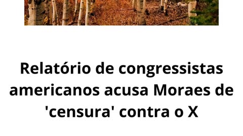 Ministros do STF adotam cautela ao comentar relatório sobre Moraes (1)