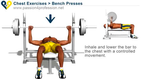 Chest exercise