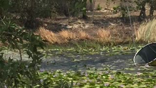 Helicopter Fills Bucket of Water for Wildfire Efforts