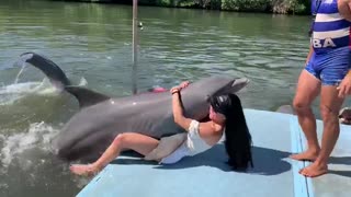 Dolphin on the Dock Feeling Friendly
